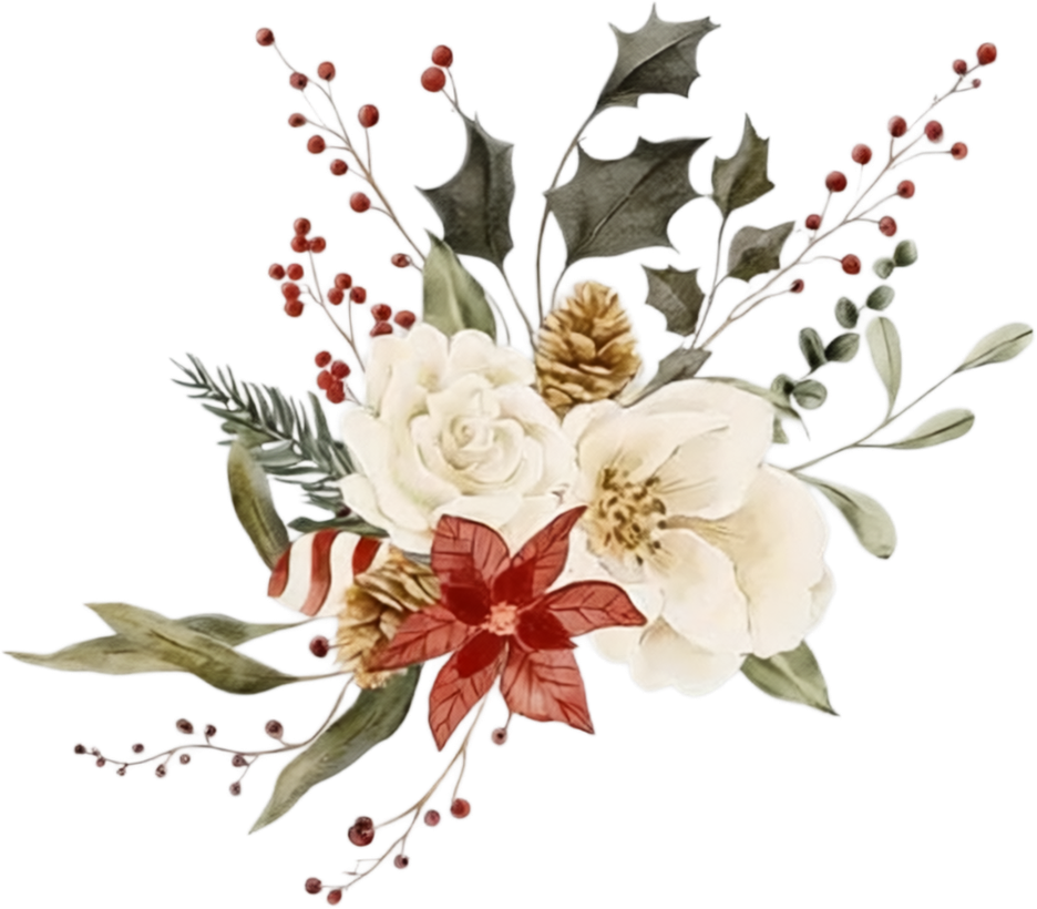 Bouquet botanico natalizio